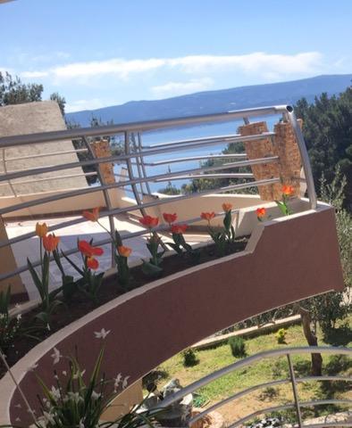 Villa Perkovic Mimice Exterior photo